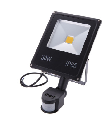 LED apgaismojuma elementi - āra lampas IP66 30W