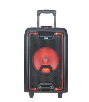 Bezvadu karaoke pārnēsājamā skaļruņa komplekts ar mikrofonu 300W NDR-2010