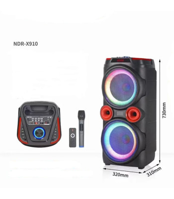 Bezvadu pārnēsājamā karaoke skaļruņa komplekts ar mikrofonu un tālvadības pulti 200W NDR-X910