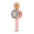 Karaoke - bluetooth mikrofons WS-669