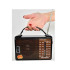 Pārnēsājamais radio GOLON RX-608ACW