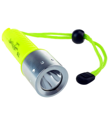 LED prožektors niršanai