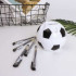 Biroja Futbola Bumbiņas Organizators