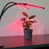 LED lampiņa augu augšanai Gardlov 19241