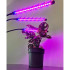 LED augu augšanas lampa Gardlov
