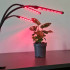 LED augu augšanas lampa Gardlov
