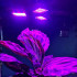 Augšanas Lampa Augu Audzēšanai 108 LED