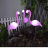 Saules lampas flamingi 3 gabali
