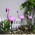 Saules lampas flamingi 3 gabali