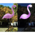 Saules lampas flamingi 3 gabali
