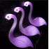 Saules lampas flamingi 3 gabali