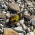 Poliarizētās saulesbrilles ar UV 400