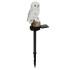 Dārza saules lampa - pūce Gardlov 23847
