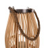 Bambusa lampas Gardlov 24282