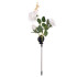 Saules lampas roze Gardlov 25282