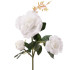 Saules lampas roze Gardlov 25282