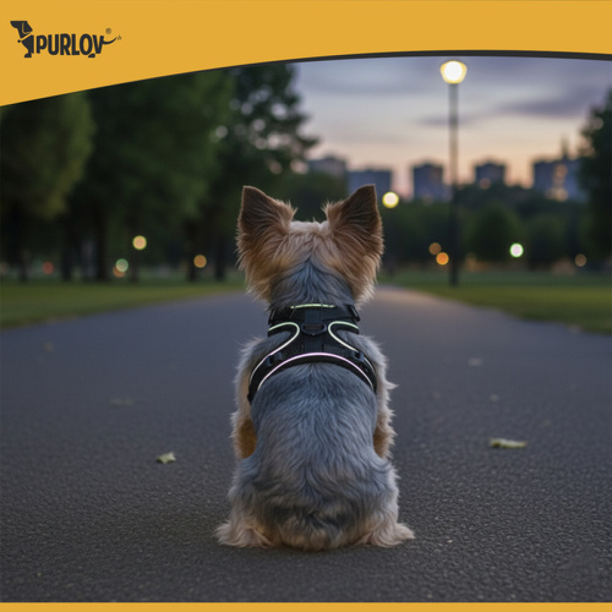 Nespaspaudžiami petnešos gyvūnams S Purlov 26868