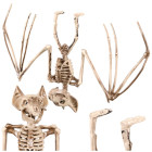 Sikspārņa skelets – dekorācija GLIMZ, 30 cm