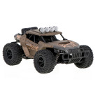 RC Drift Tereņu Automašīna 20km/h Brūna