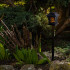 Saules laternas 12LED