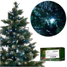 LED gaismas ķēde 10m 100LED auksti balta