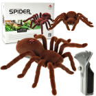 Attālināti vadāma Tarantula