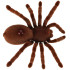 Attālināti vadāma Tarantula