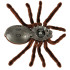 Attālināti vadāma Tarantula