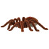 Attālināti vadāma Tarantula