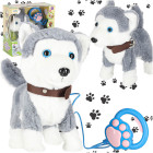 Interaktīvais Husky rotaļu suns