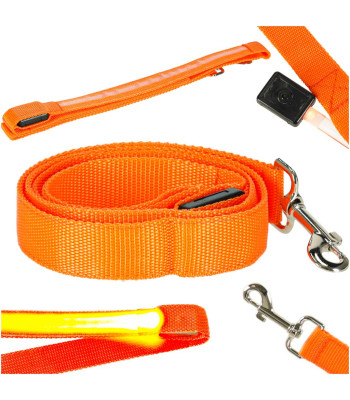 LED pavada sunim un kaķim, oranža 2,5 x 120cm