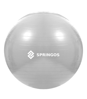 Vingrošanas bumba ar pumpi Springos FB0008 75cm