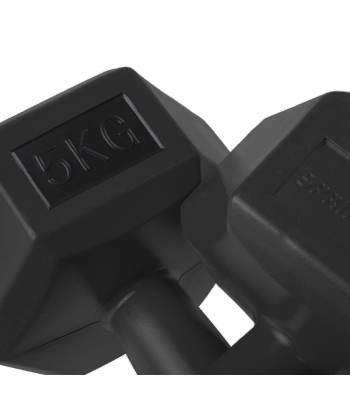 FA1036 HEX DUMBS 2 X 5 KG