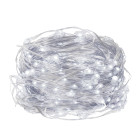 Mikrolampas 100 LED diodes