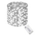 Mikrolampas 100 LED diodes