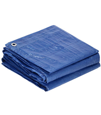 Brezents Springos GA2117 4x6 m 60g/m2
