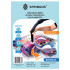 Vakuuma soma Springos VB0009 50x70cm