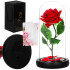 Springos LED Roze