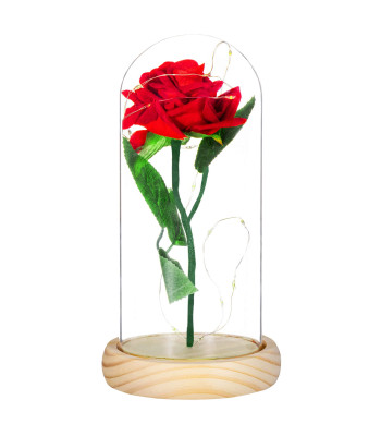 Dekoratīvā Lampa Springos