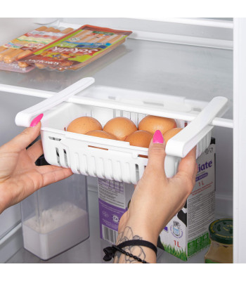 Ledusskapja organizators Springos HA3104