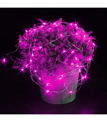 MICRO 20 LED lampiņas