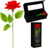 Springos® Roze