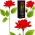 Springos® Roze