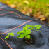 Agrotekstils pret nezālēm Springos AG0028