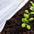 Ziemas agrotekstils Springos AG0017