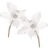 Ziemassvētku rotājums "Poinsettia" Springos CA0799, 24×15 cm