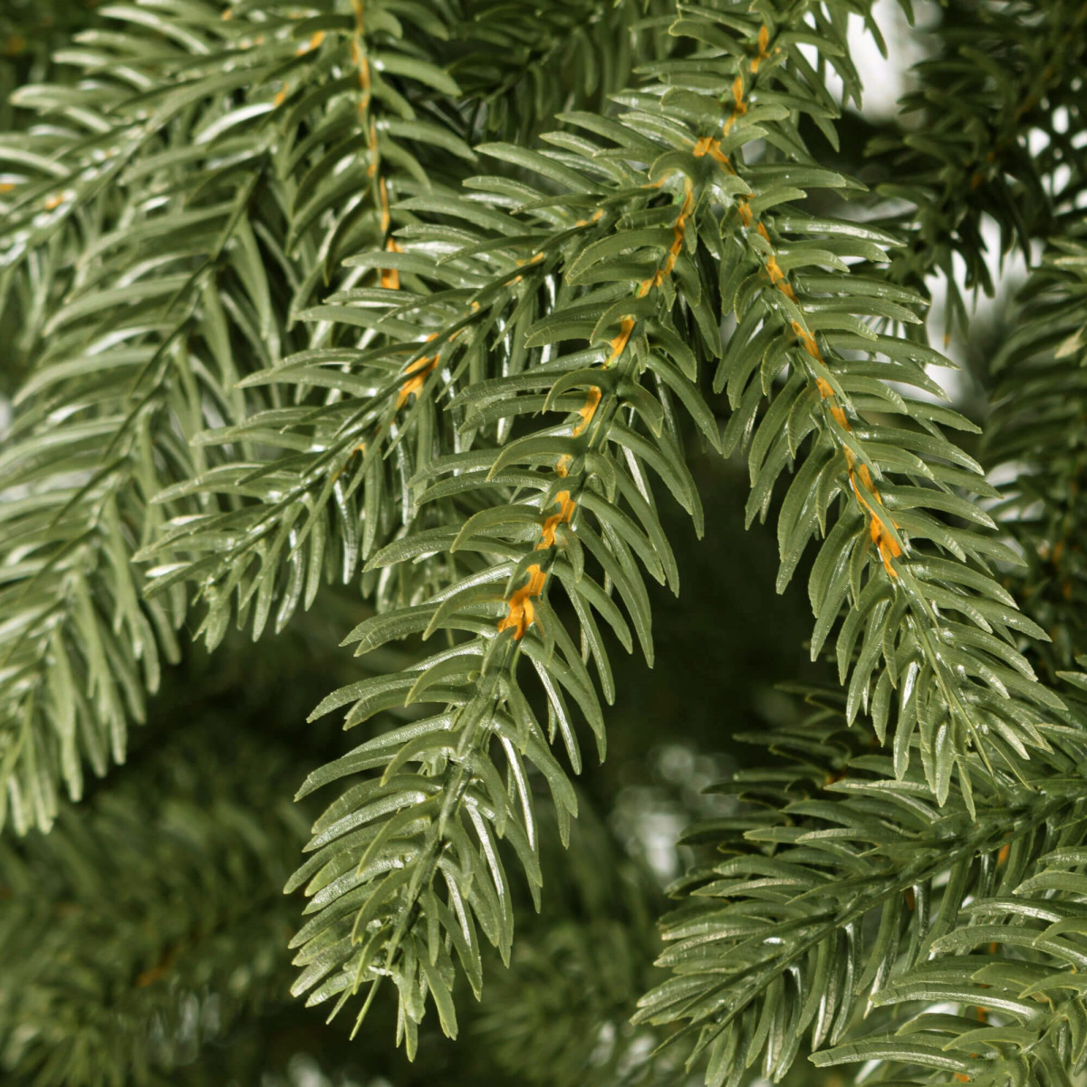 Ziemassvētku eglīte Springos CT0154  220cm
