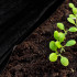Agrotekstils pret nezālēm Springos AG0023, 50 g/m², 3,2 × 10 m