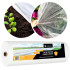Ziemas agrotekstils Springos AG0009, 17 g/m², 50 × 3,2 m, balts