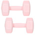 Springos FA1063 hanteles, 2 x 2 kg